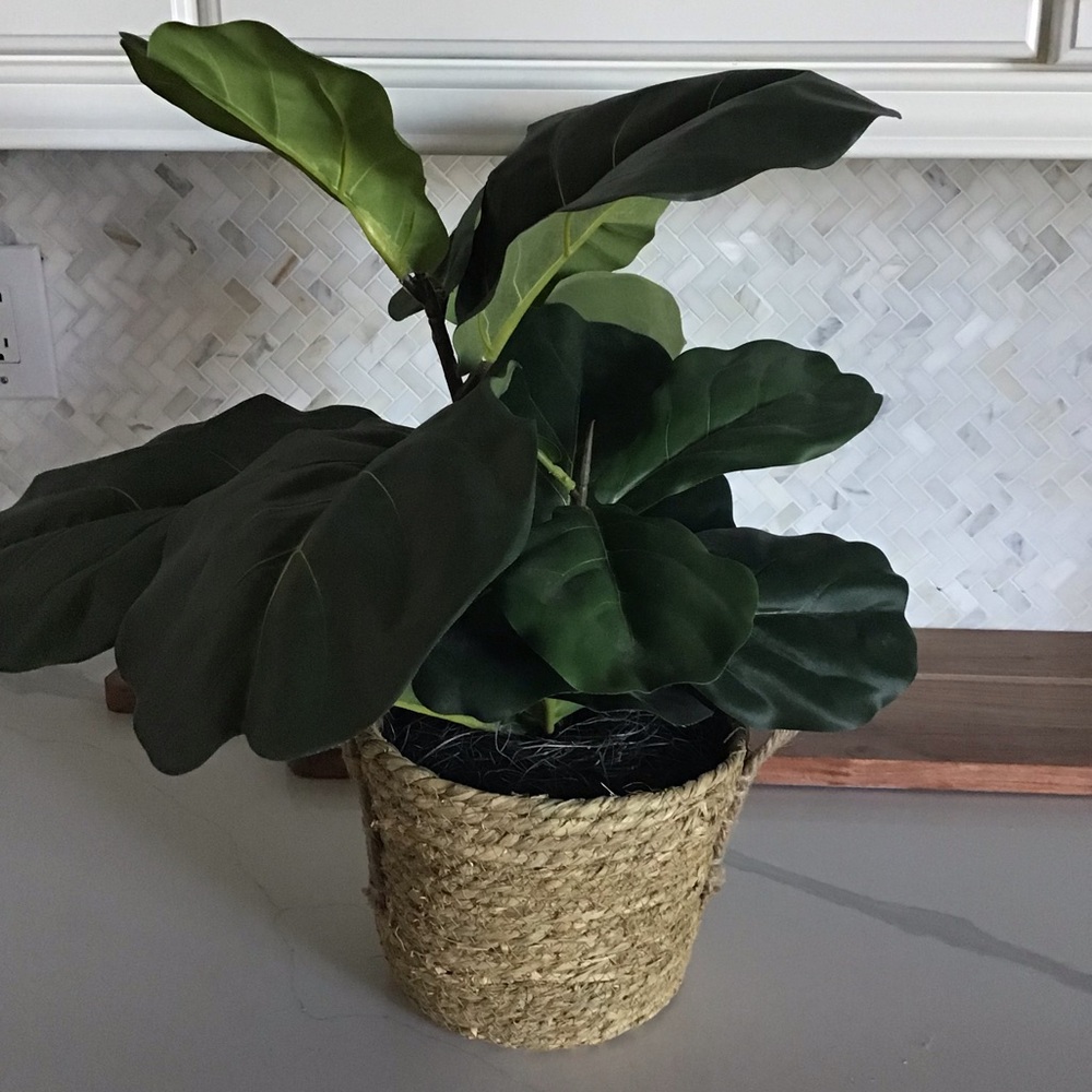 Faux Fiddle Leaf In Basket